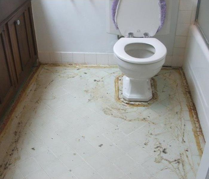 My Toilet overflowed! Now what? | SERVPRO of Northeast Collin County My Toilet Overflowed And Now My Carpet Smells