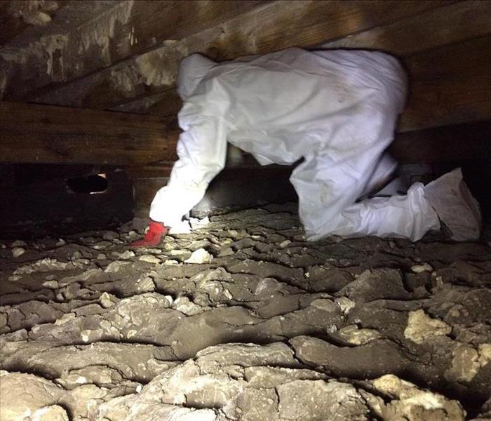 Technician in safety gear under a building for mold remediation