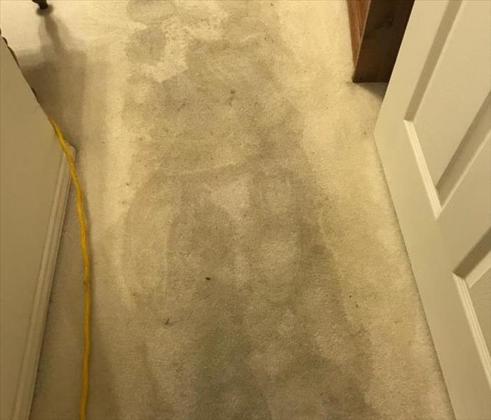 water damaged carpet