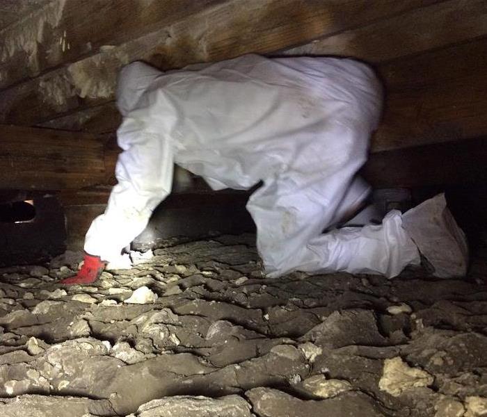 SERVPRO technician under a building treating mold